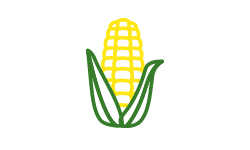seed & crop