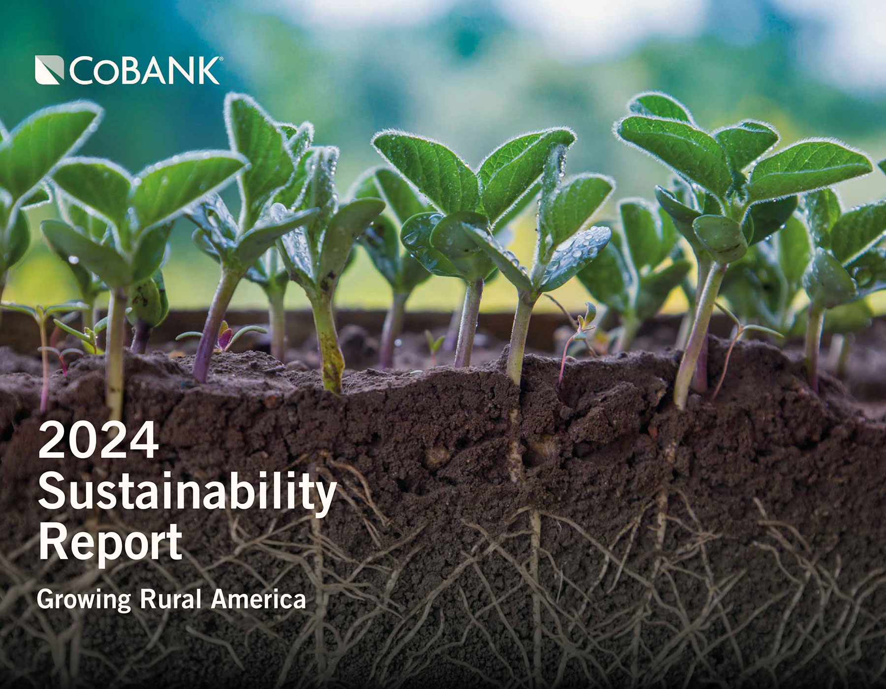 CoBank 2022 Sustainability Report