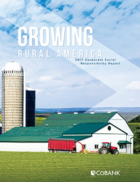 Growing Rural America Report 2017