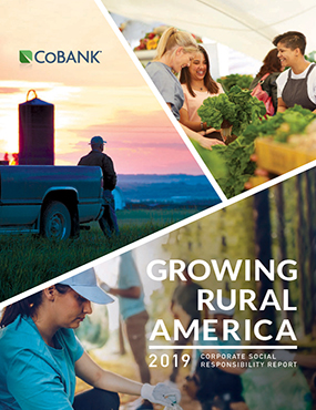 Growing Rural America Report 2019