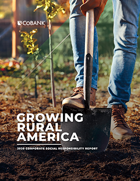 Growing Rural America Report 2020