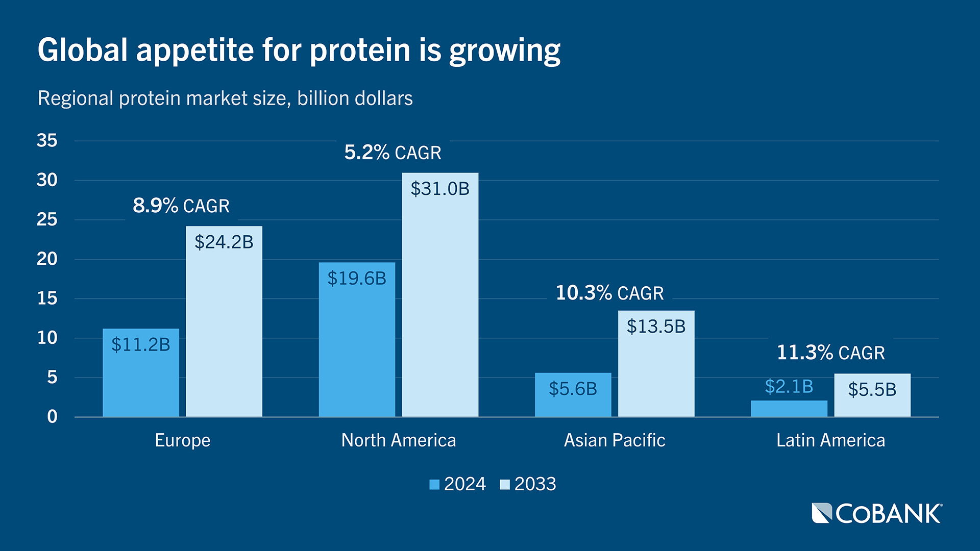 Bar chart comparing regional protein market size in 2024 and 2033 