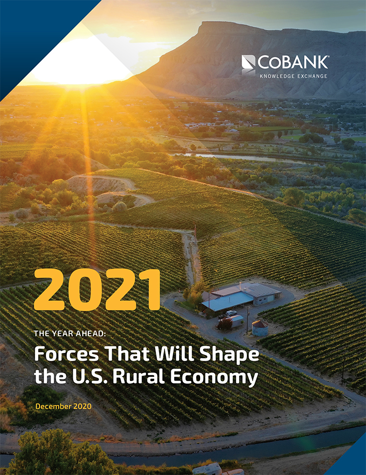 The Year Ahead: Forces That Will Shape the US Rural Economy in 2021