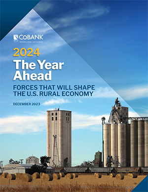 The Year Ahead: Forces That Will Shape the US Rural Economy in 2021