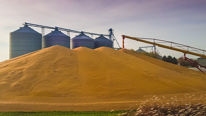 Grain Elevator