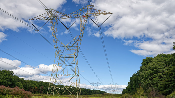 High‑voltage transmission towers and power lines running across a grassy field with trees and a partly cloudy sky.